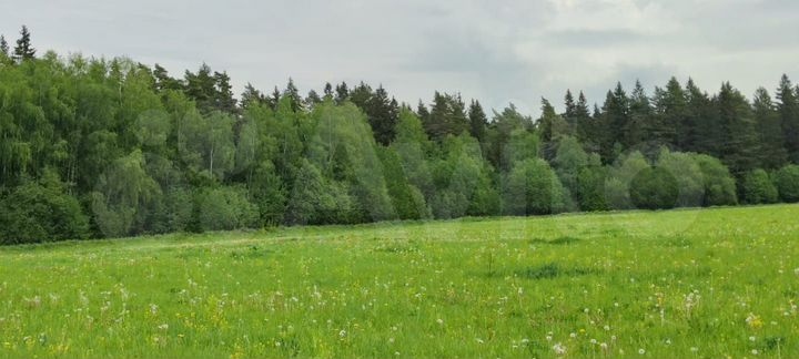 Участок 6 сот. (ИЖС)