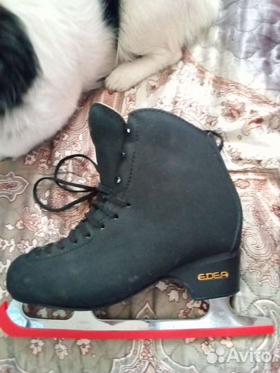 Фигурные коньки edea