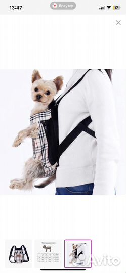 Рюкзак переноска кенгуру(для животных)