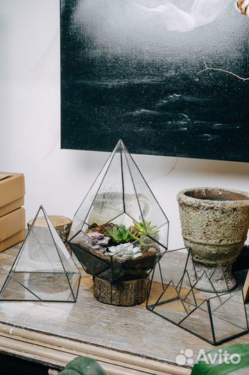 Формы, флорариум