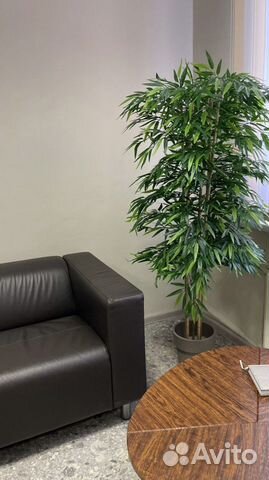 Бамбук искусственный