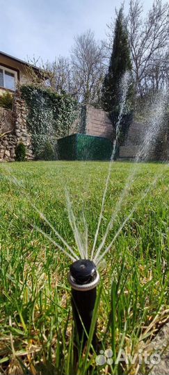 Рулонный газон от производителя + полив