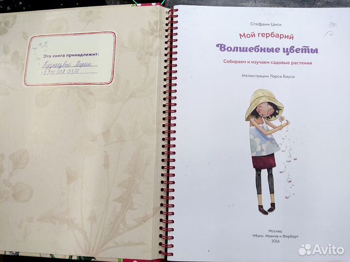 Про детство на кораблях. Вулканы. Научный комикс