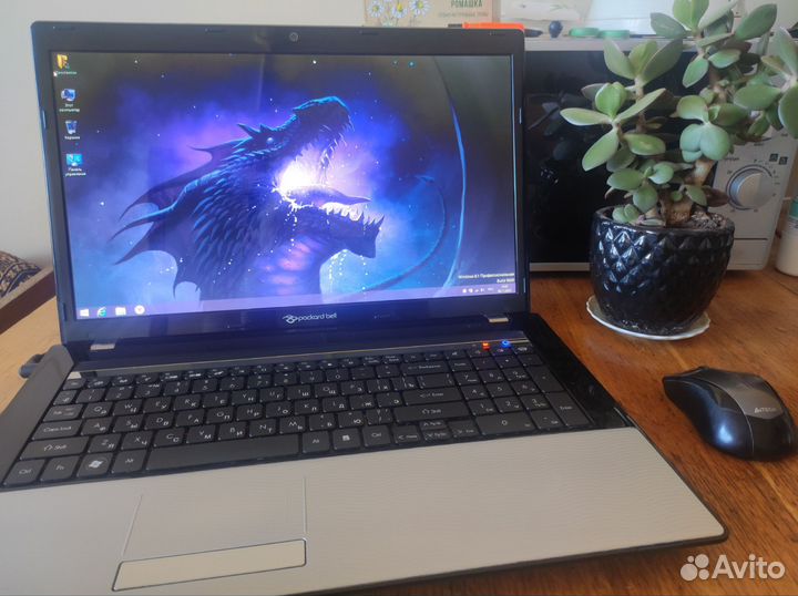 Packard Bell ms2290 17