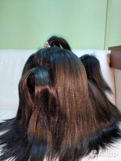 Игрушка «мальтийская болонка» из нат.меха