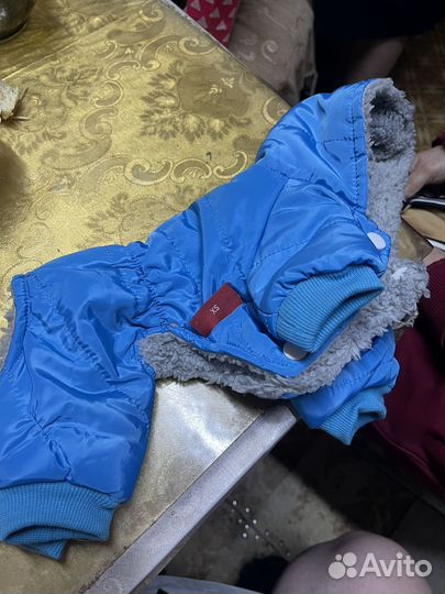 Комбинезон демисезонный