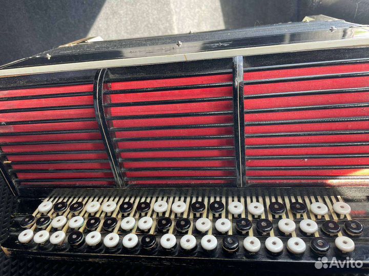 Баян Ростов дон