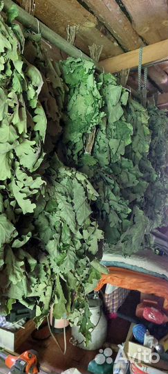 Дубовые веники для бани