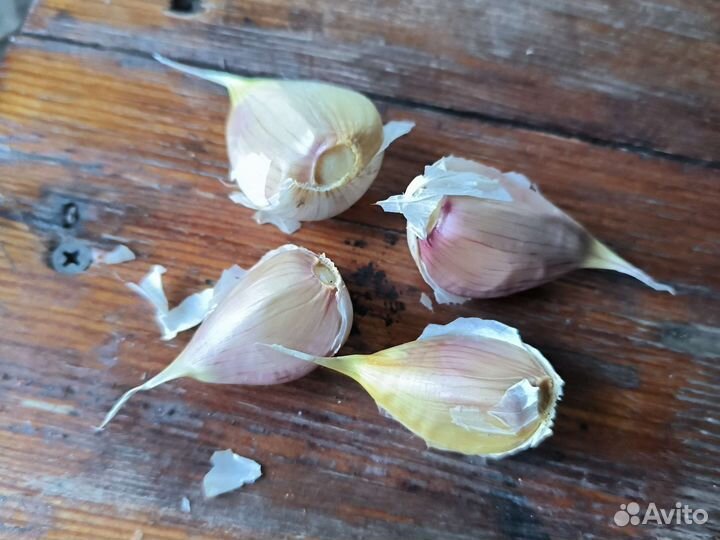 Чеснок