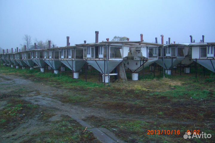 Клетки для кроликов