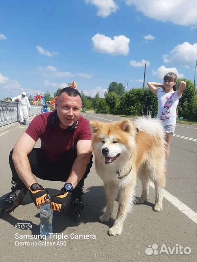 Психолог#1. Решим сейчас за 1 час