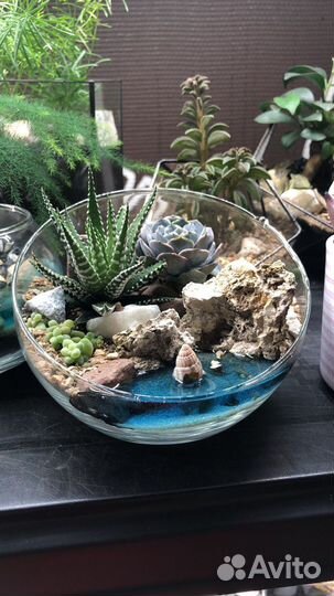 Флорариум мини антикризис с имитацией воды
