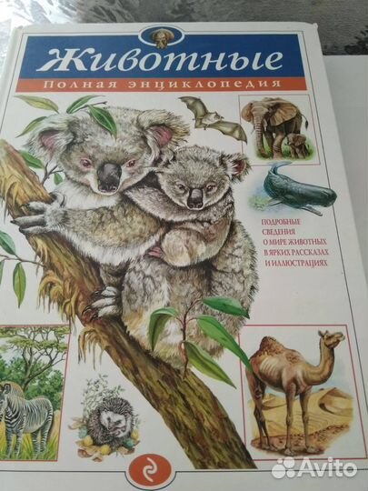 Детские энциклопедии