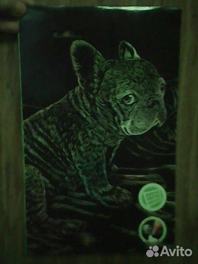 Раскраски-мандала животные А4 (обмен)