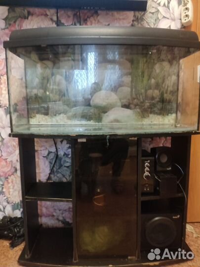 Аквариум с тумбой на 100 литров