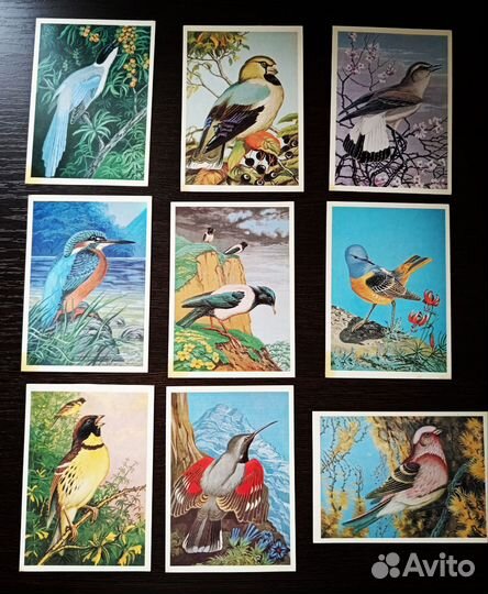 Открытки СССР