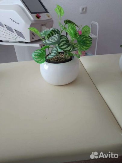 Искусственные цветы в горшках