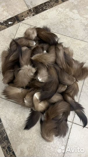 Хвосты куницы