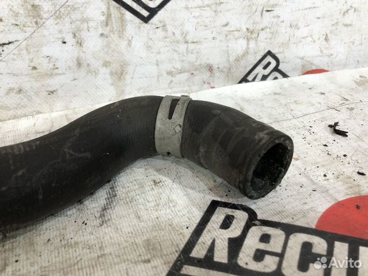 Патрубок радиатора nissan note ne12 HR12DE D 2013