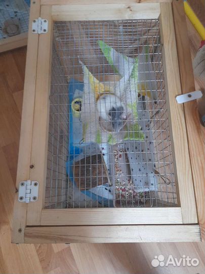 Клетка для животных