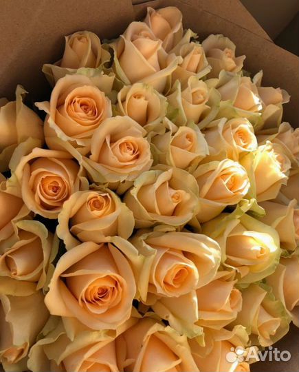 Доставка цветов 101 роза