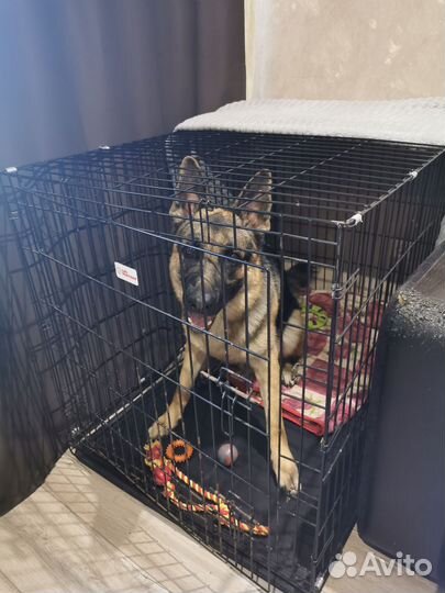 Клетка для собаки