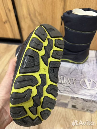 Дутики Antarctica