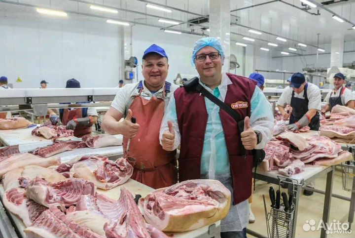 Ищу займ в готовый бизнес, доход 242272 в месяц