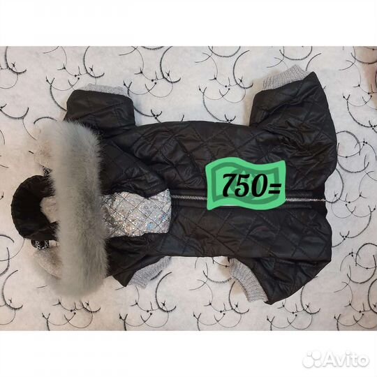 Новые комбинезоны для собак