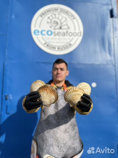 Сотрудник склада живых морепродуктов