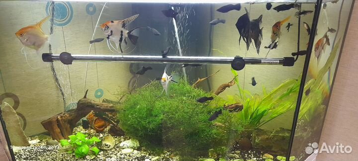 Аквариум с тумбой juwel