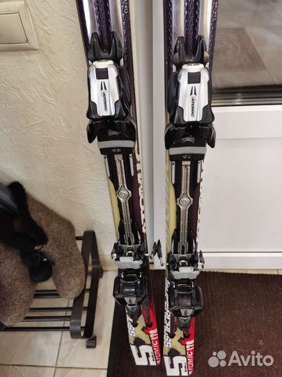 Горные лыжи