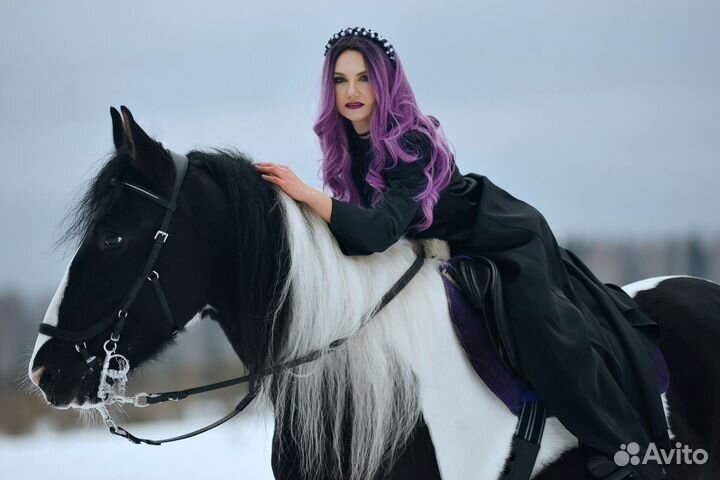 Аренда лошади на фотосессию