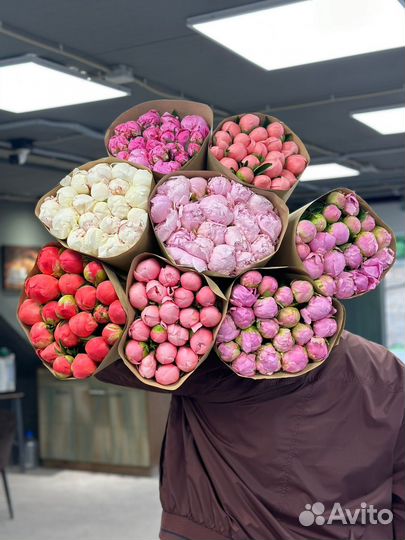 Пионы букеты из пионов