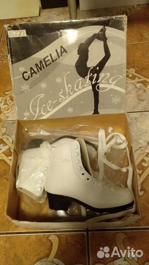 Коньки зимние