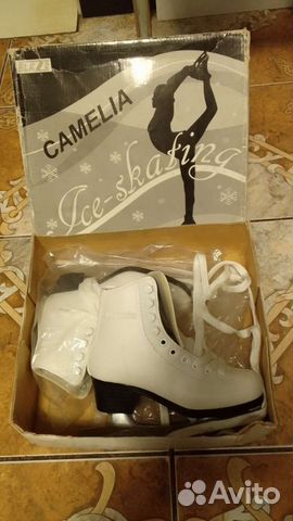 Коньки зимние