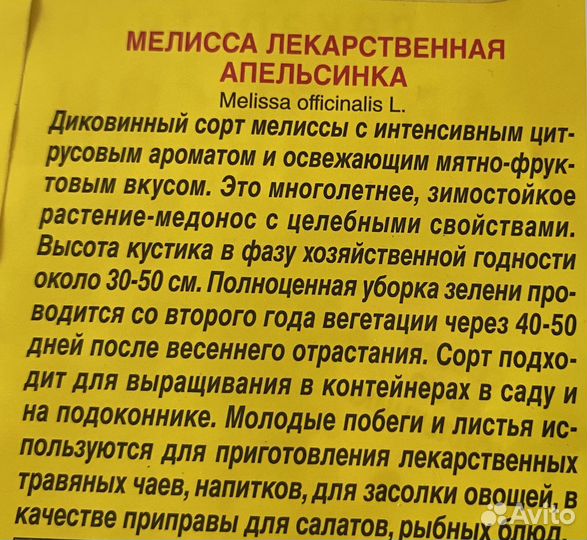 Мелисса ароматная