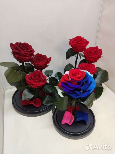 Цветы оптом