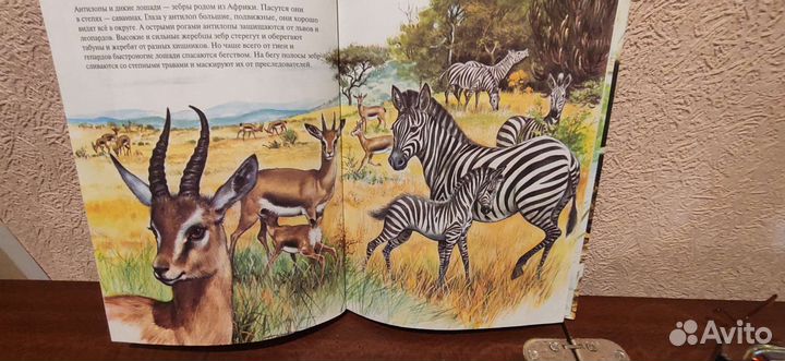 Книги для детей