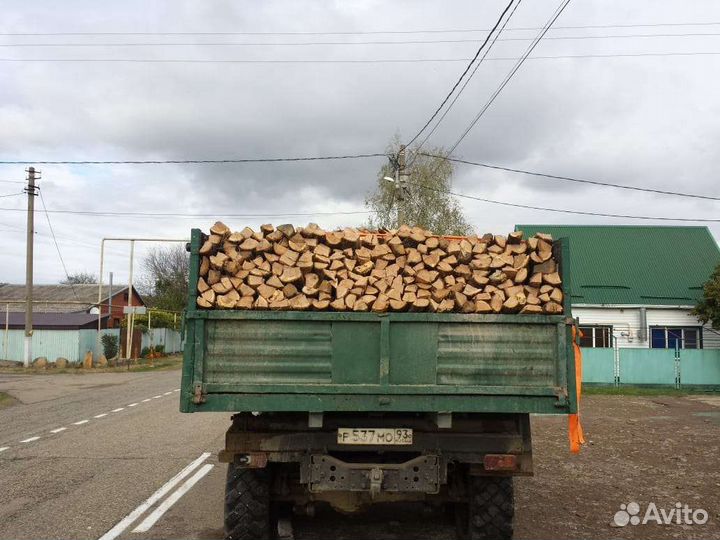 Дрова/перегной