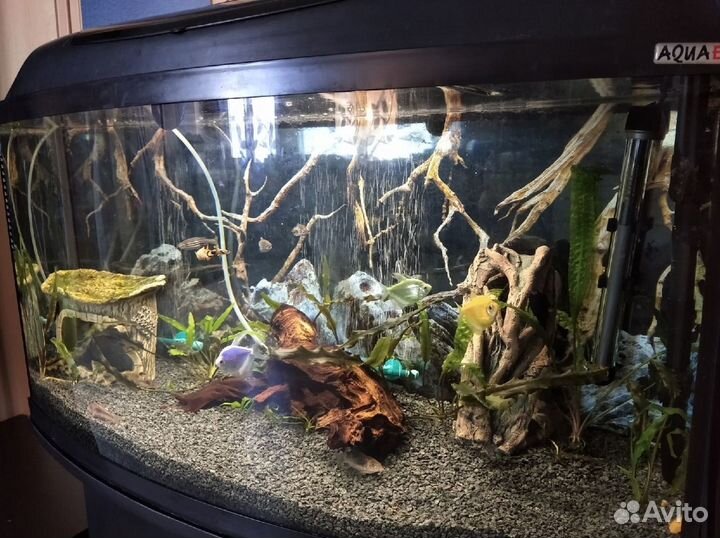 Грунт для аквариума Габбро-диабаз