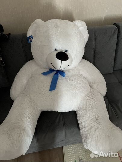 Плюшевый медведь