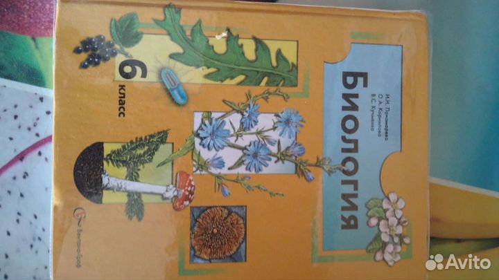 Биология 6 класс