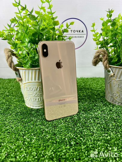 iPhone Xs Max, 512 ГБ