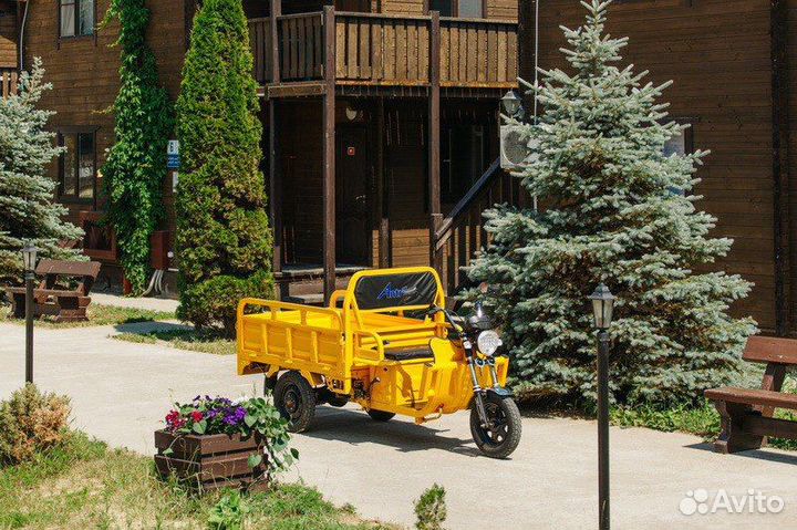 Грузовой электрический трицикл Antrike 500