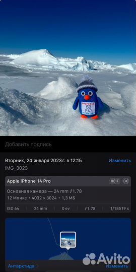 Вязаный пингвин ручной работы из Антарктиды