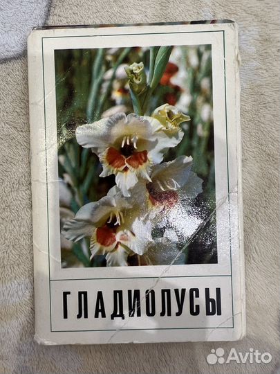 Наборы открыток