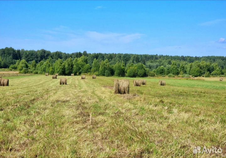 Сено в рулонах, хранится под крышей, 2024