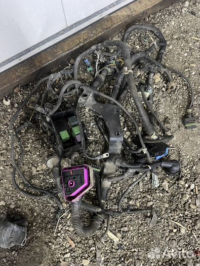 Проводка коса подкапотная opel astra g