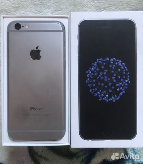 iPhone 6